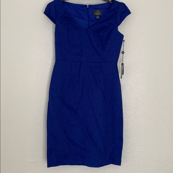 Adrianna Papell Dresses & Skirts - Adrianna Papell Dress NWT Sz 8P sleeveless
